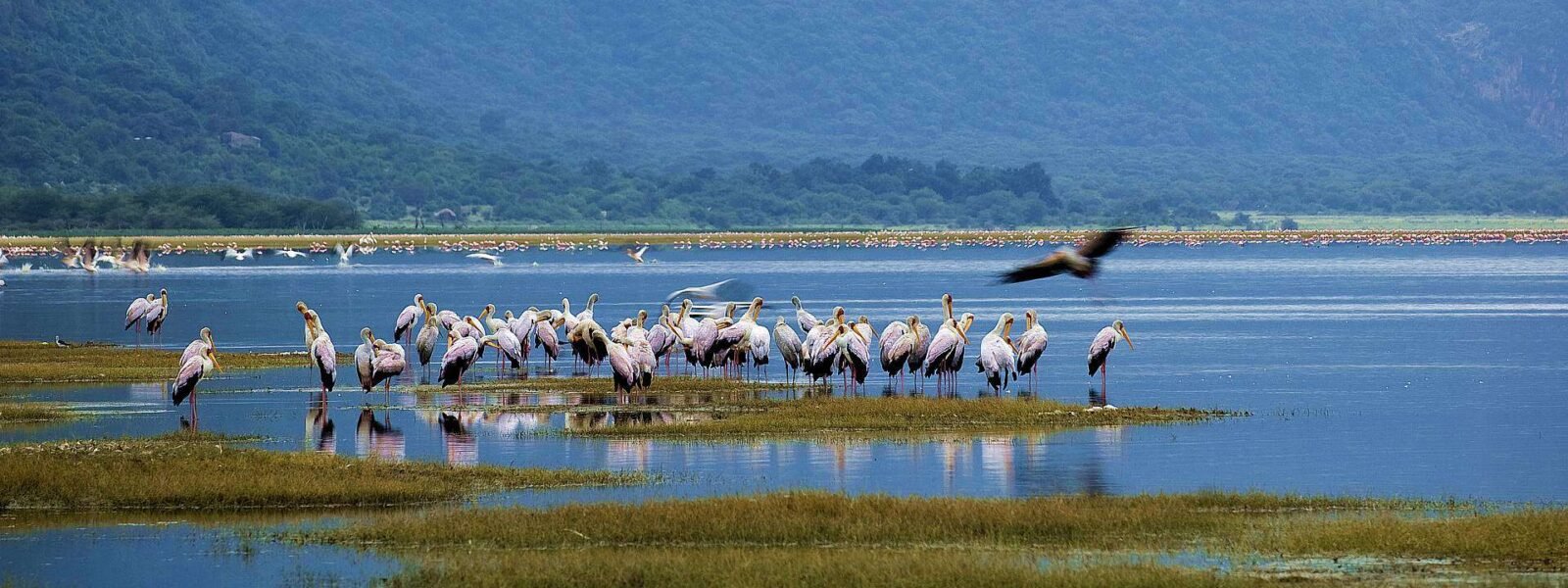 Lake Manyara National Park