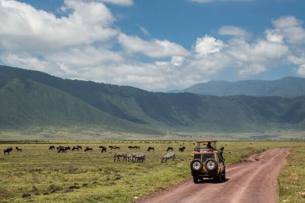 5 Days / 4 Nights – Srengeti, Ngorongoro & Tarangire