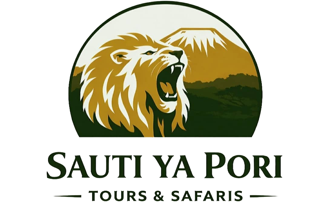 Sauti ya Pori – Tours & Safaris