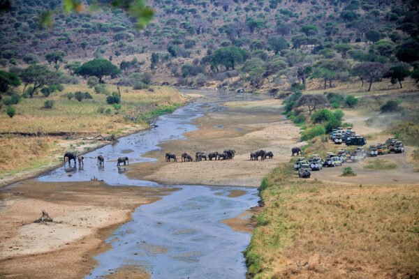 5 Days / 4 Nights – Srengeti, Ngorongoro & Tarangire