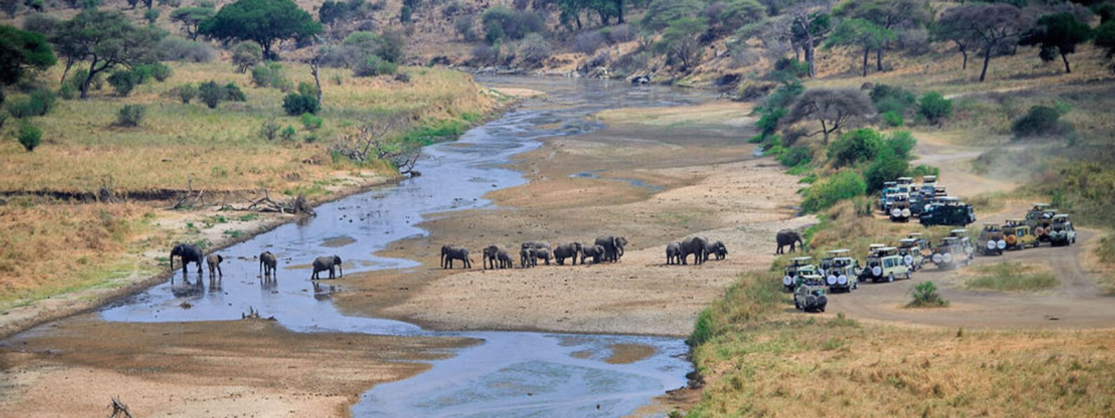 Tarangire National Park