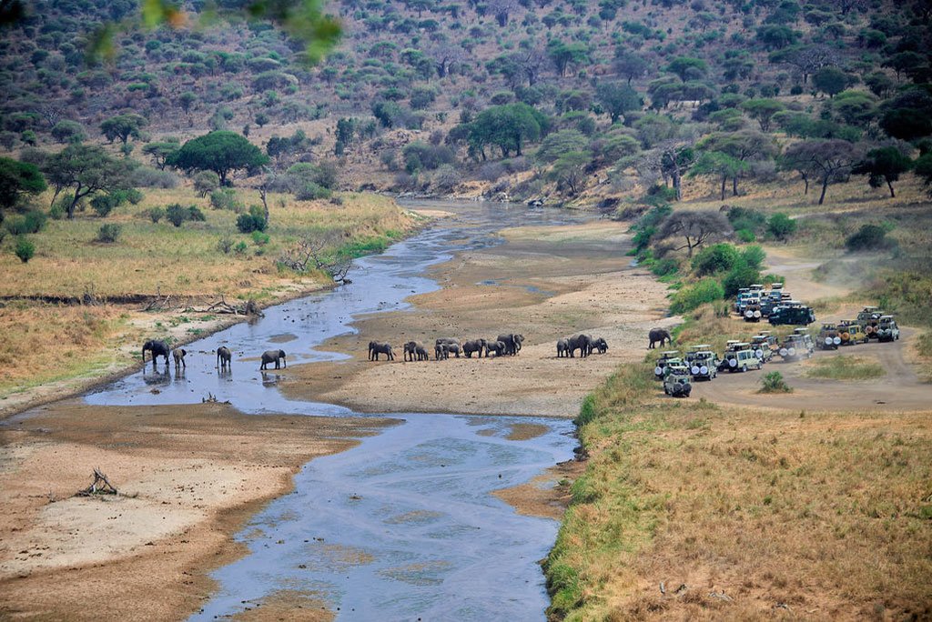 Tarangire National Park