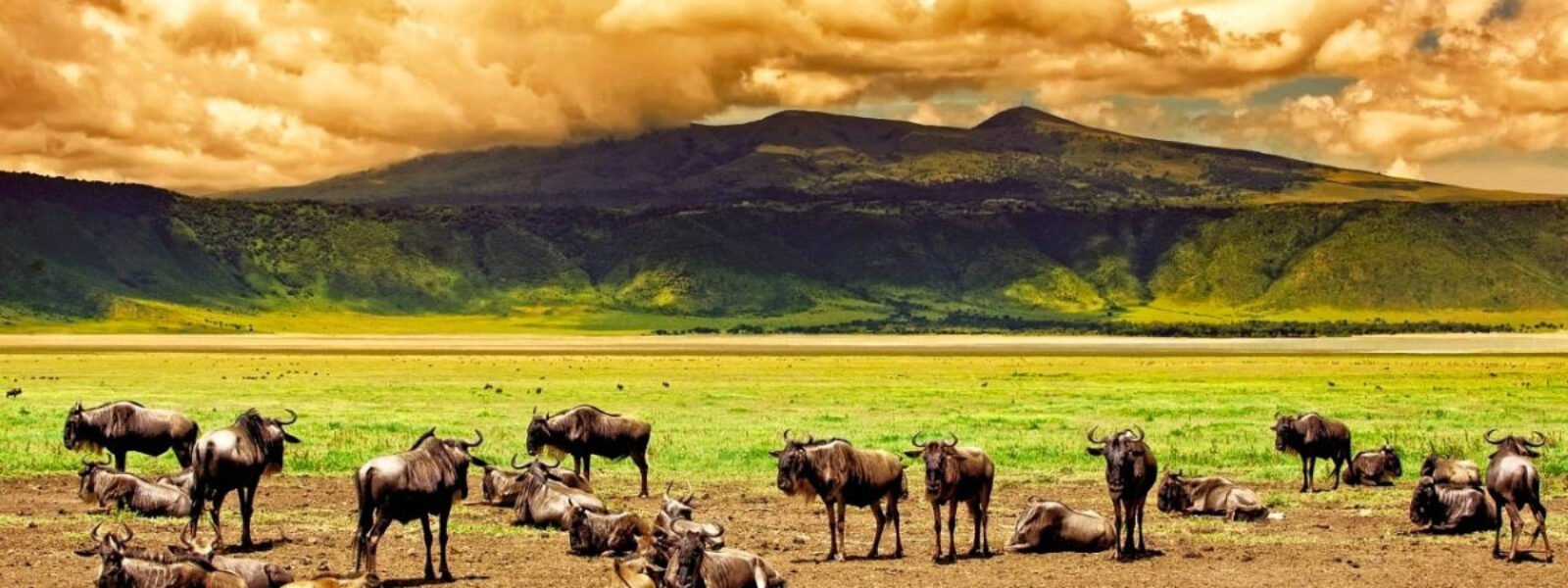 Ngorongoro Crater