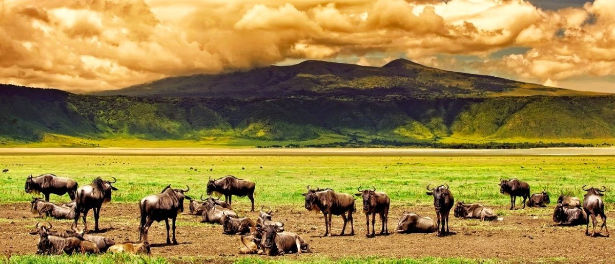 Ngorongoro Crater
