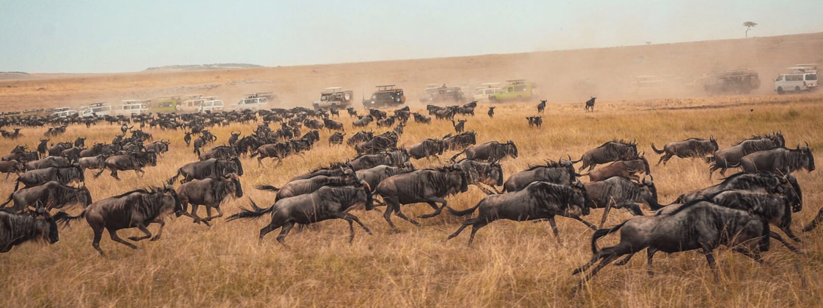 Serengeti National Park