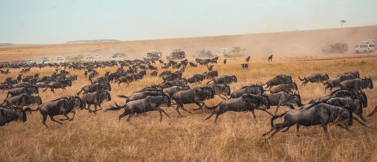 Serengeti National Park